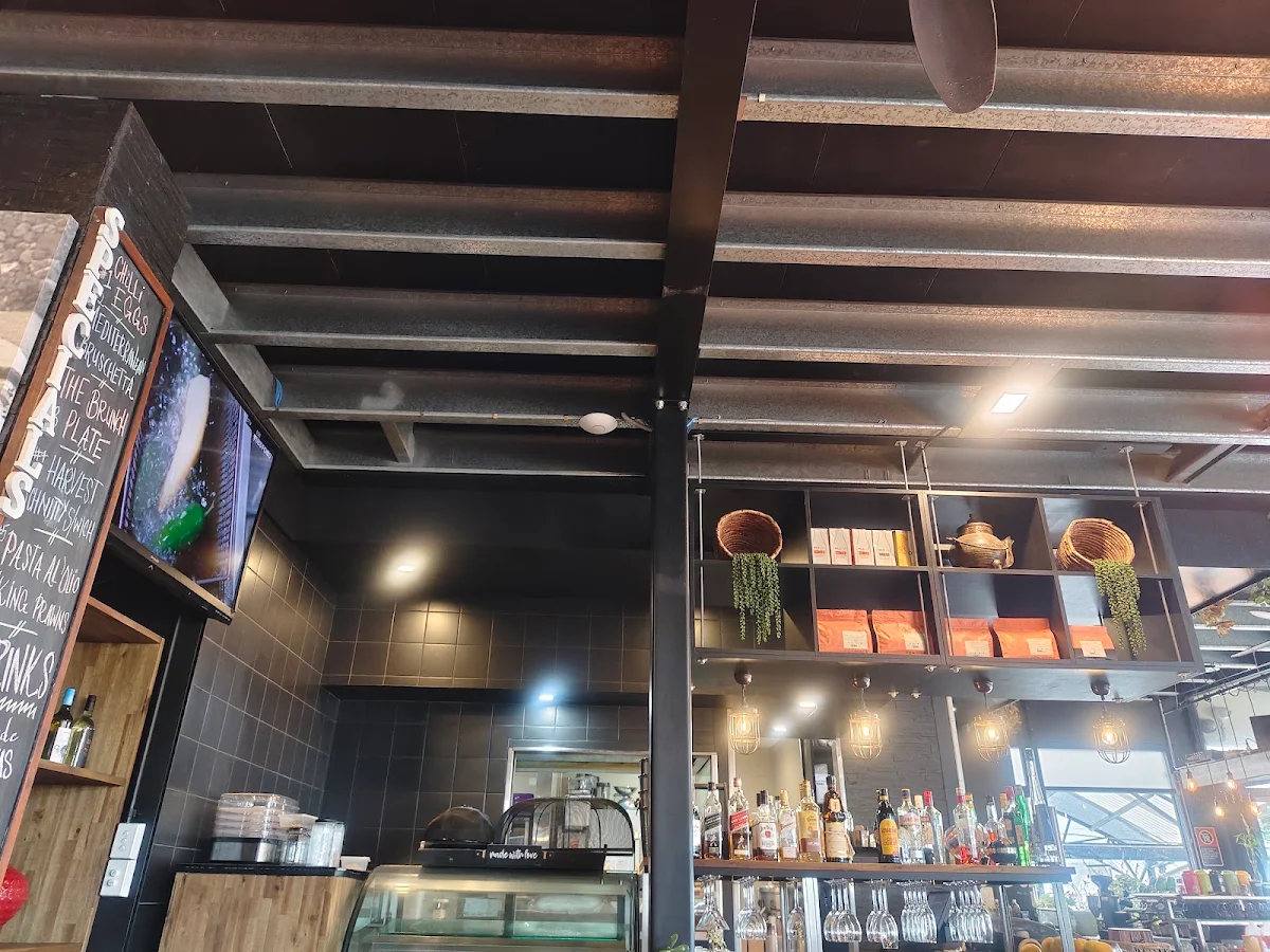 Vibe, Cafe Harvest