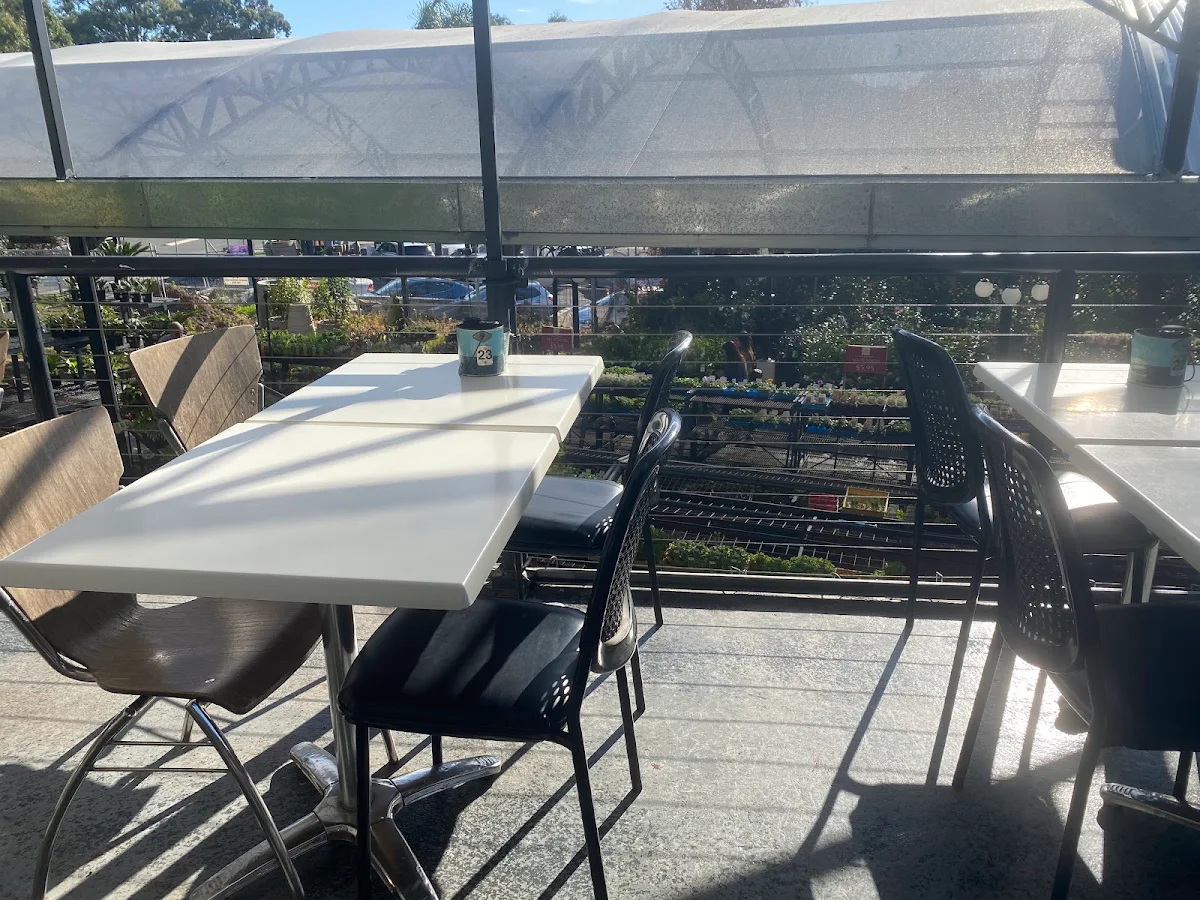 Vibe, Cafe Harvest