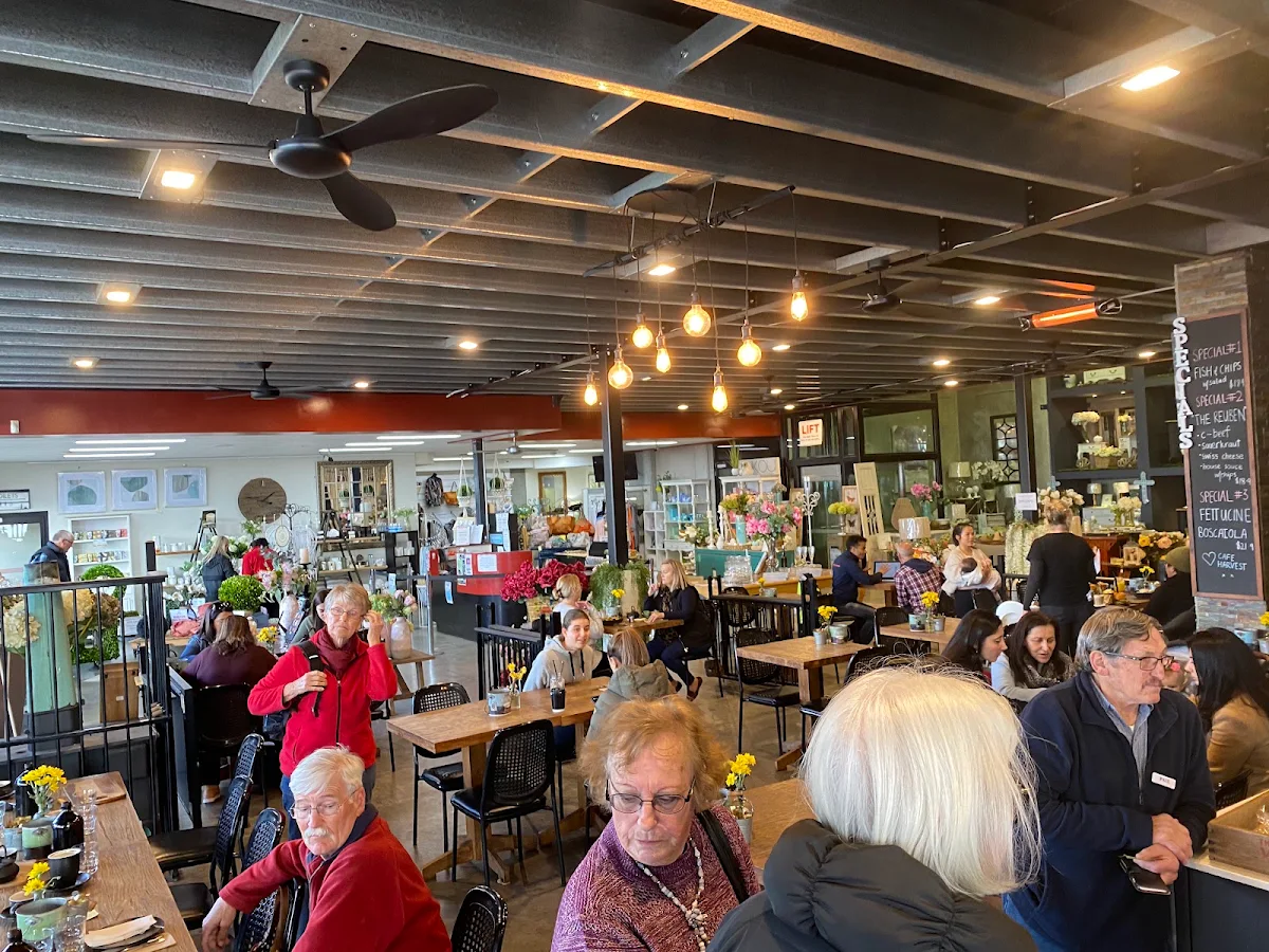 Vibe, Cafe Harvest