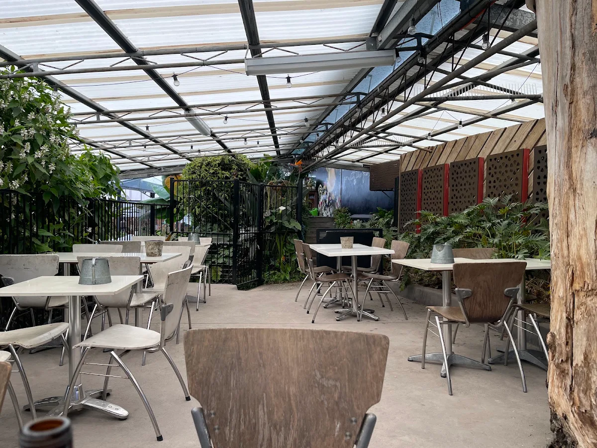 Vibe, Cafe Harvest
