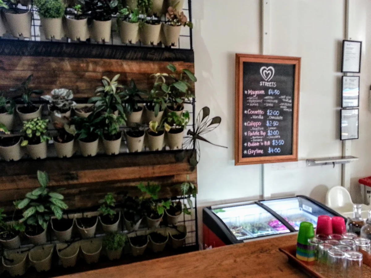 Vibe, Bella Cafe & Pizza Bar
