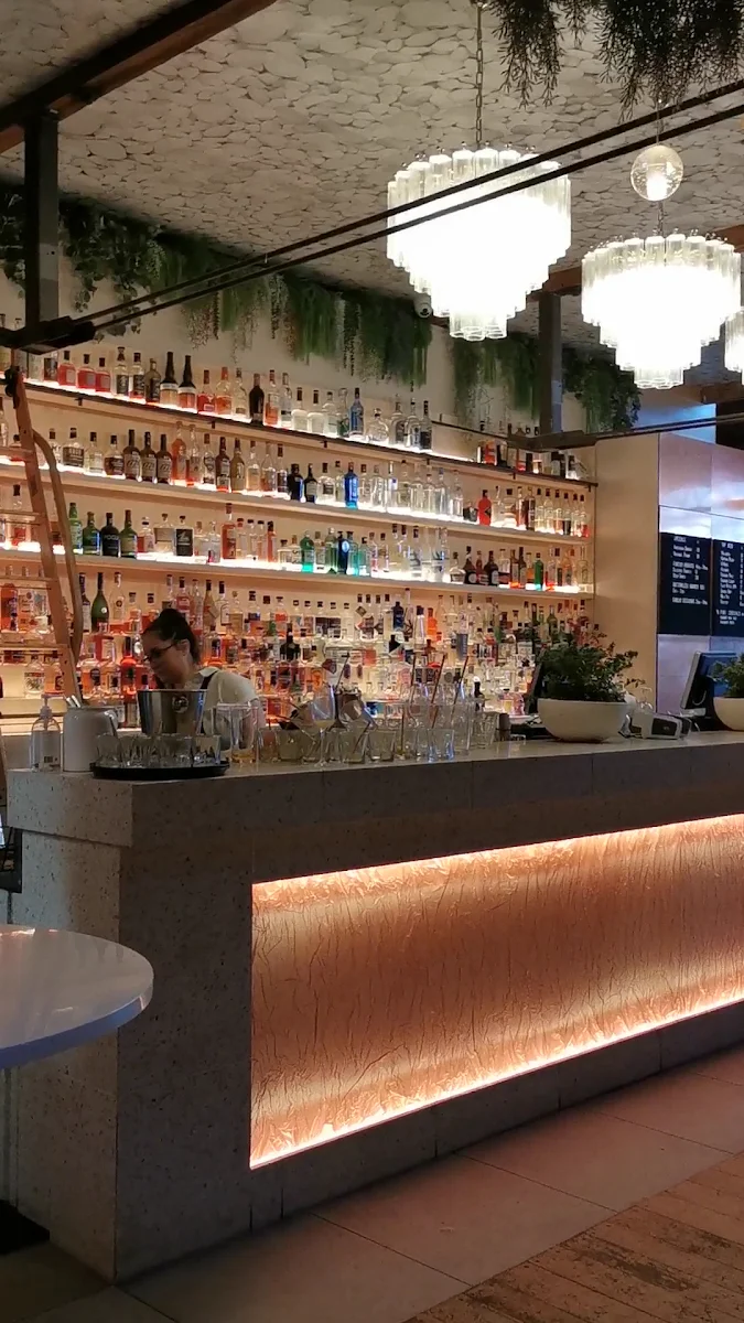 Vibe, Botanica Bar Salamanca