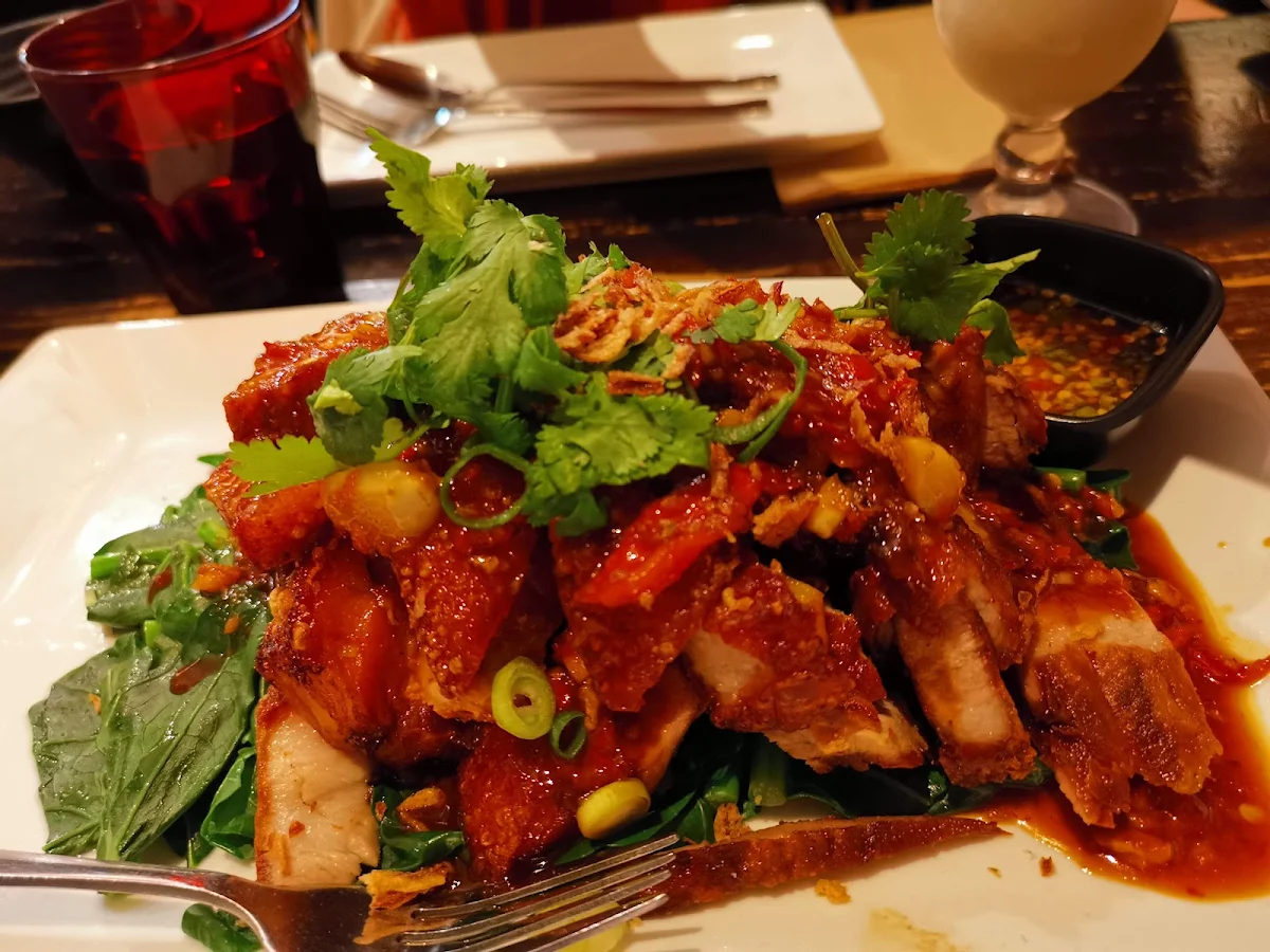 Food & drink, Shark Hotel
