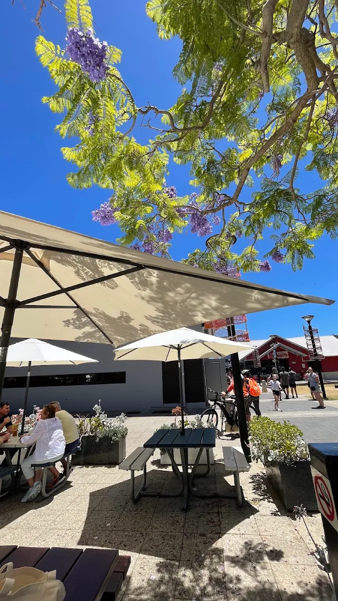 Vibe, Cicerello's Mandurah