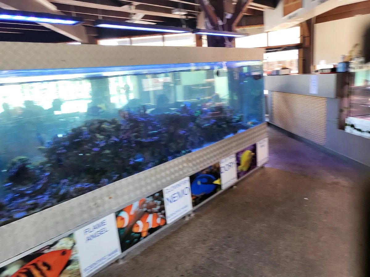 Vibe, Cicerello's Mandurah