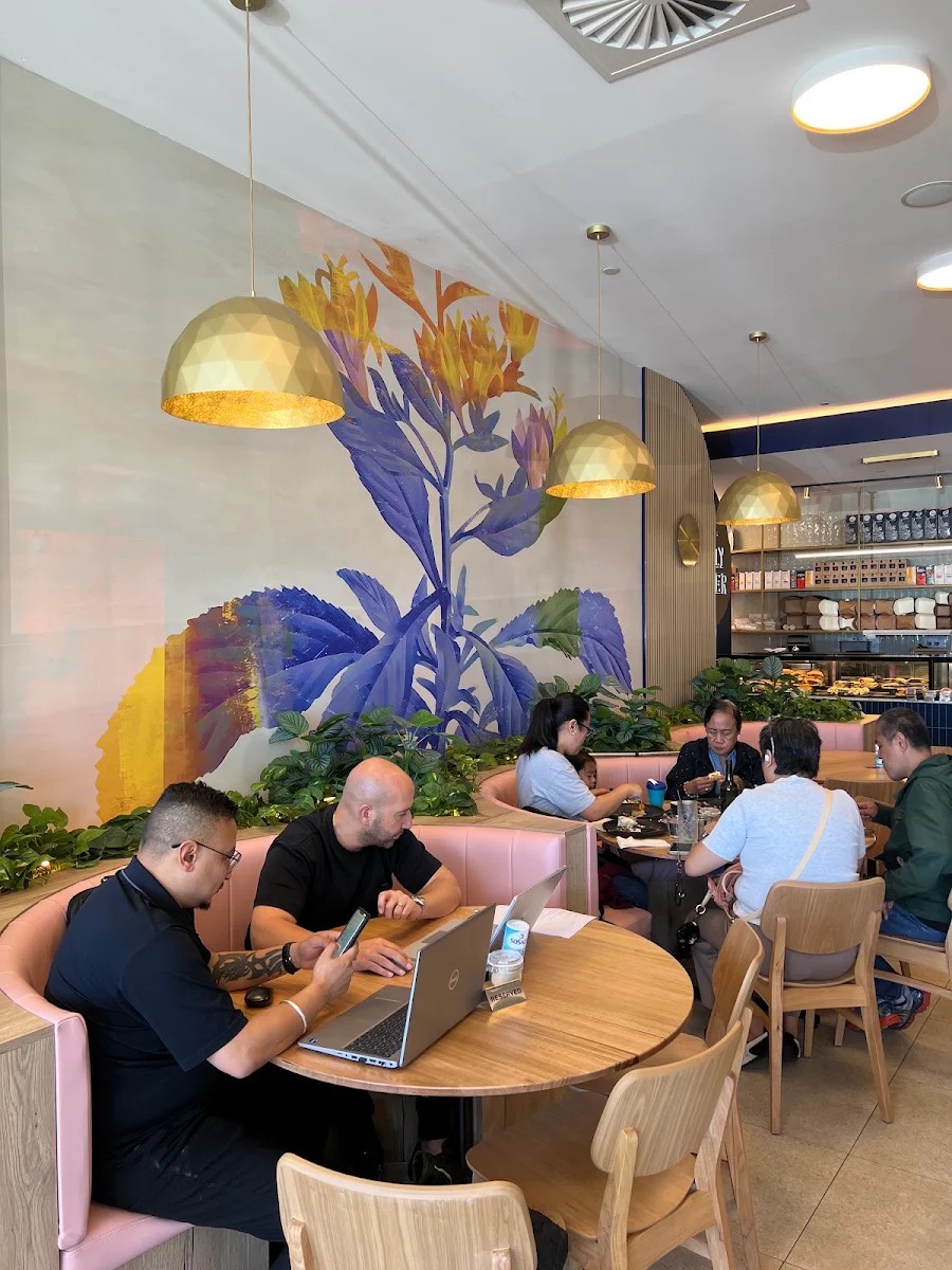 Vibe, The Jolly Miller (Craigieburn)