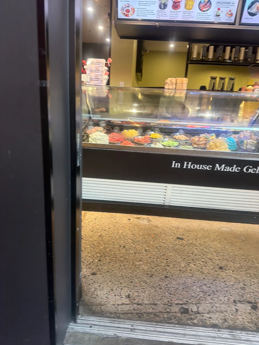 Vibe, C9 Chocolate and Gelato Wetherill Park