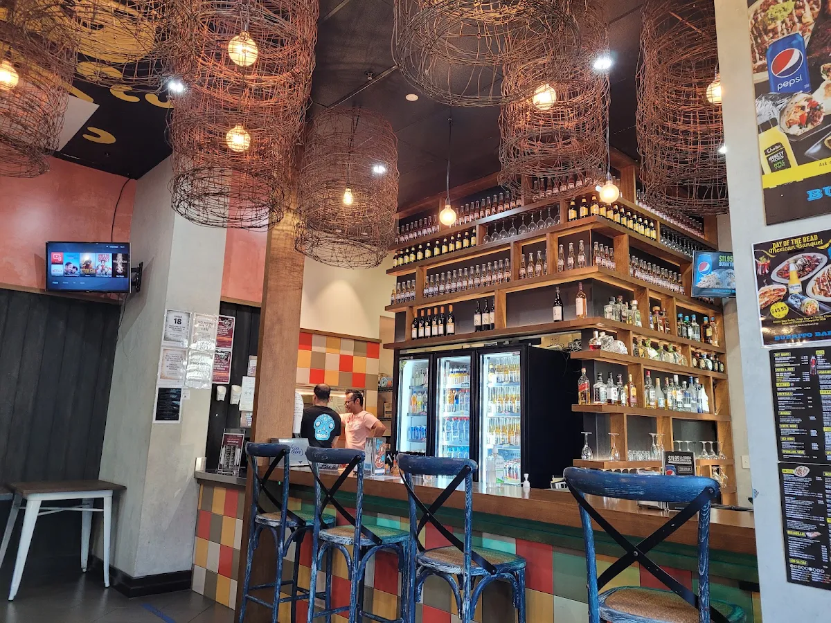 Vibe, Burrito Bar Spring Hill