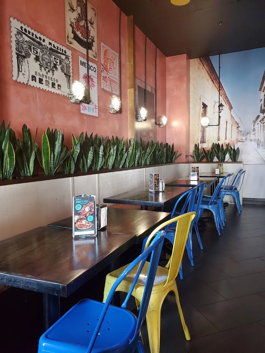 Vibe, Burrito Bar Spring Hill