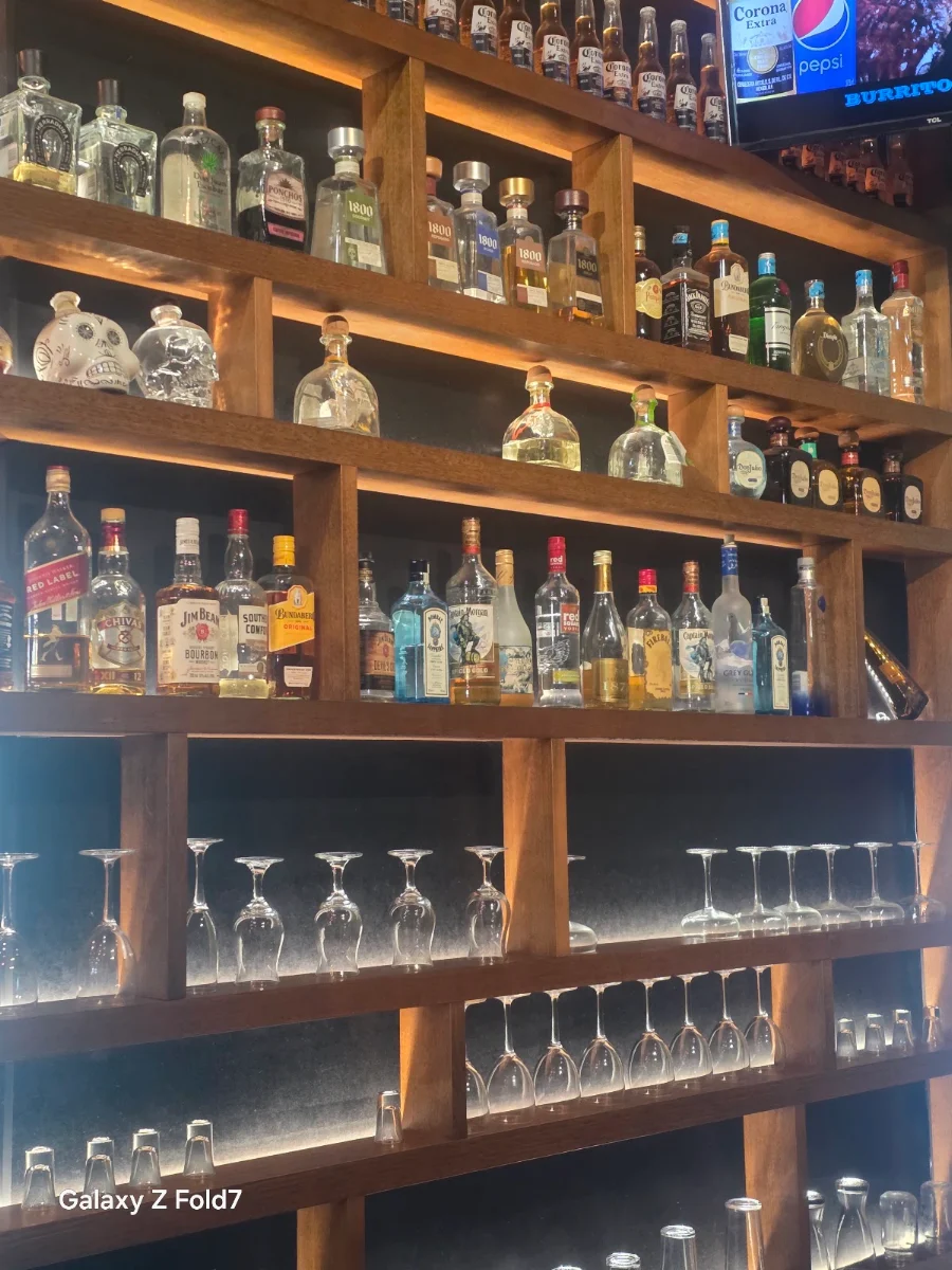 Vibe, Burrito Bar Spring Hill