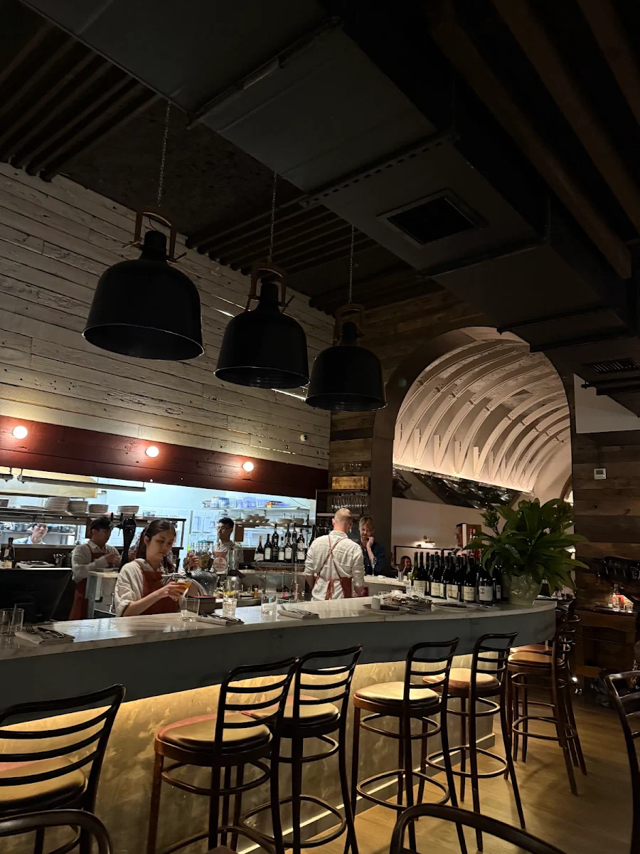 Vibe, Chophouse Sydney