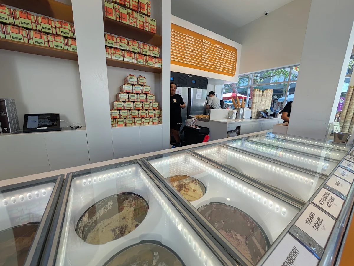 Vibe, Gelato Messina Manly