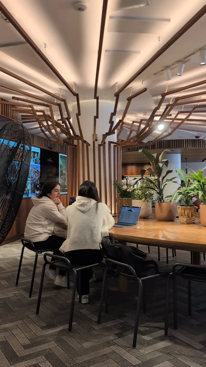 Vibe, Canva Space