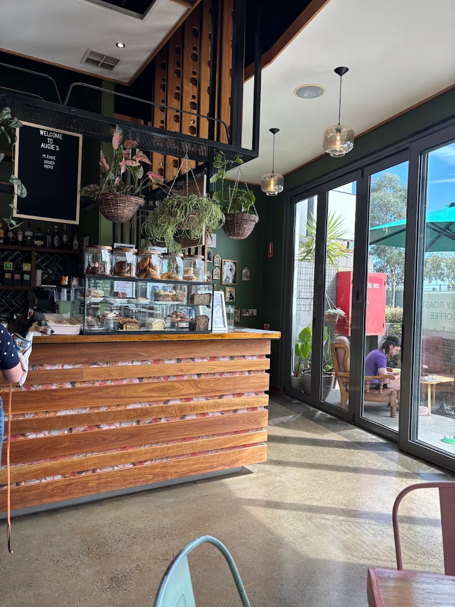 Vibe, Augie's Place - Dog Friendly Cafe & Licenced Bar