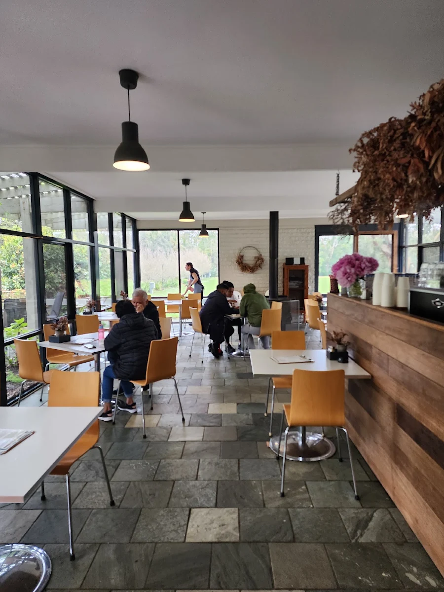 Vibe, Hanging Rock Cafe