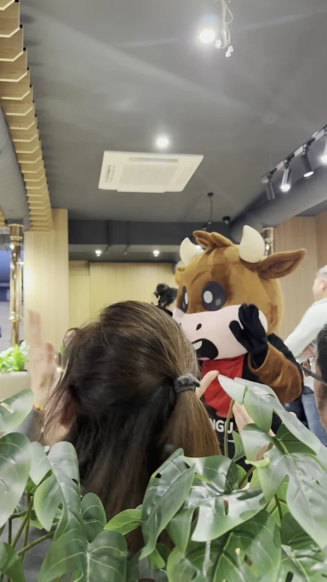 Vibe, Chingu Korean BBQ Springvale