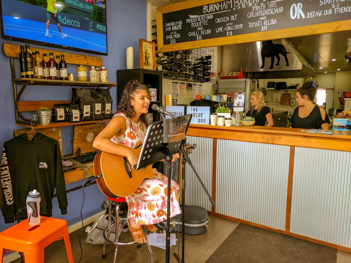 Vibe, Blue Dog Café.