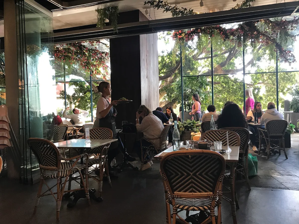 Vibe, The Birdcage