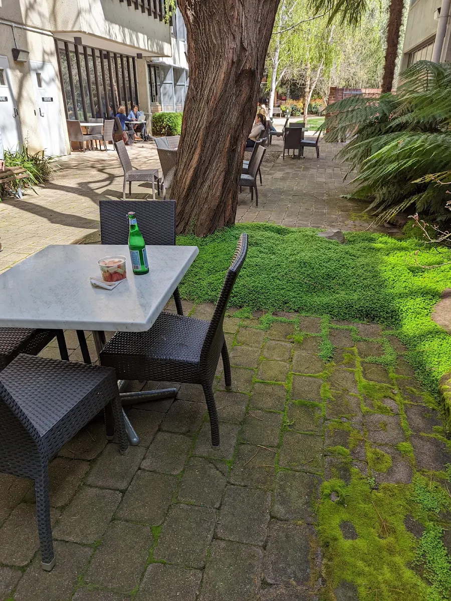 Vibe, Little Pickle Cafe