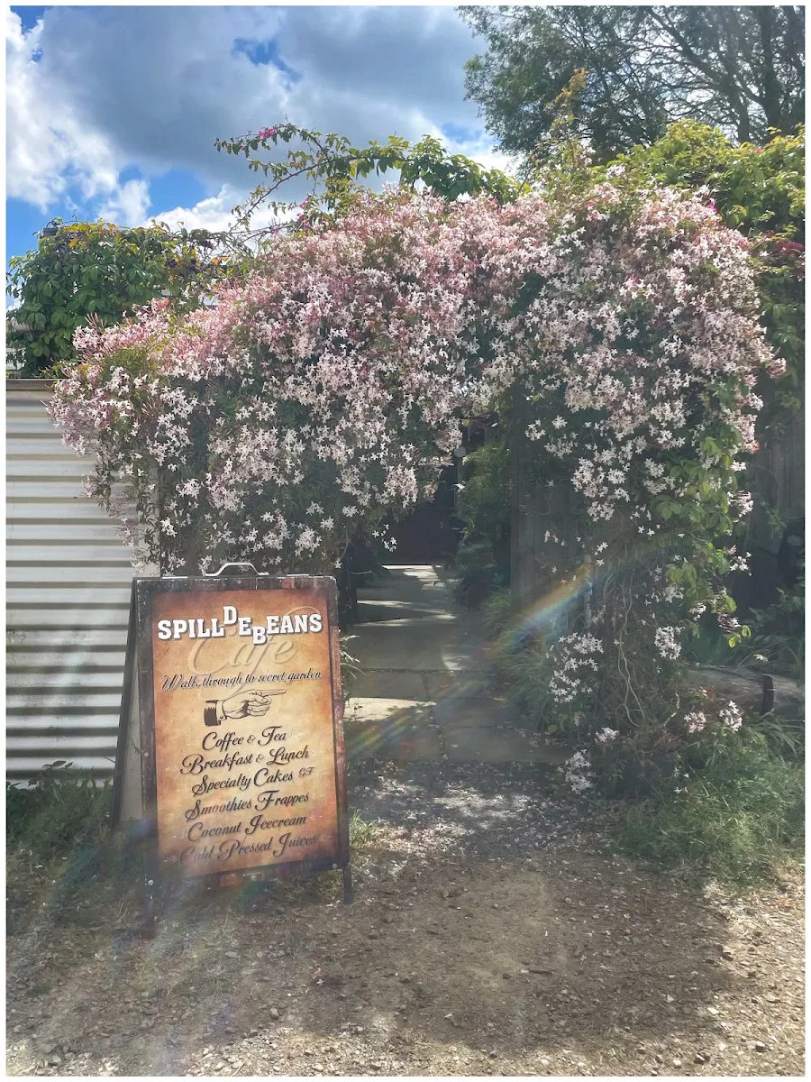 Menu, SpillDEBeans