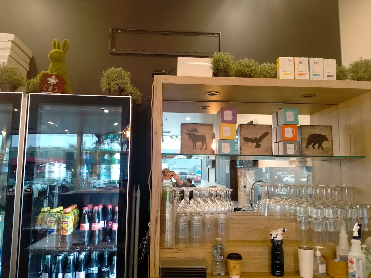 Vibe, Bean in the Woods