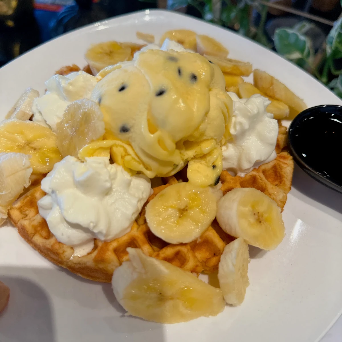 Food & drink, Cafe Gelato