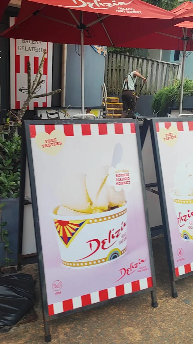 Menu, Whale Tail Gelati & Coffee Bar