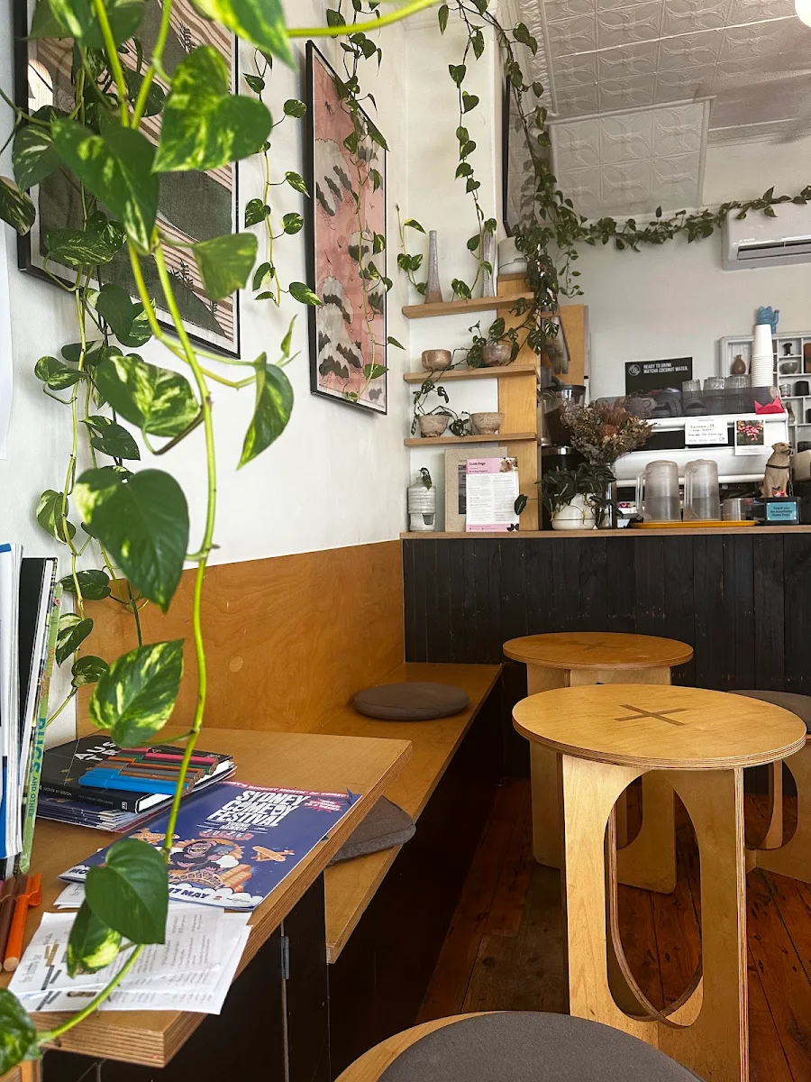 Vibe, Tokyo Lamington Newtown