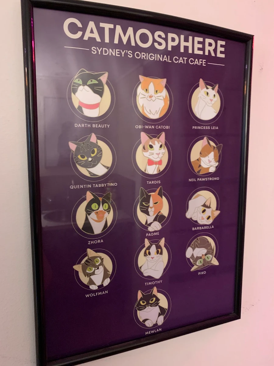 Menu, Catmosphere Cat Cafe