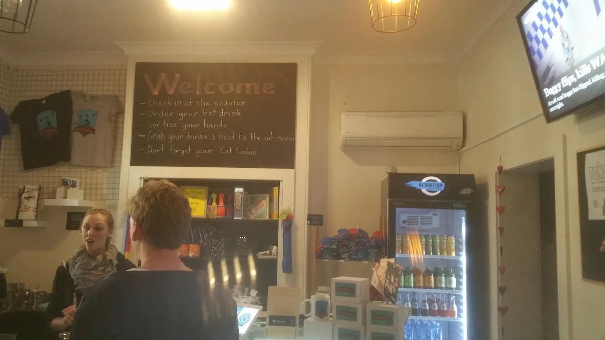 Vibe, Catmosphere Cat Cafe
