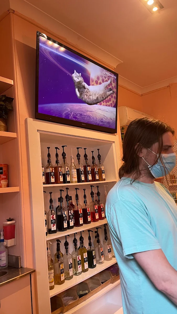 Vibe, Catmosphere Cat Cafe