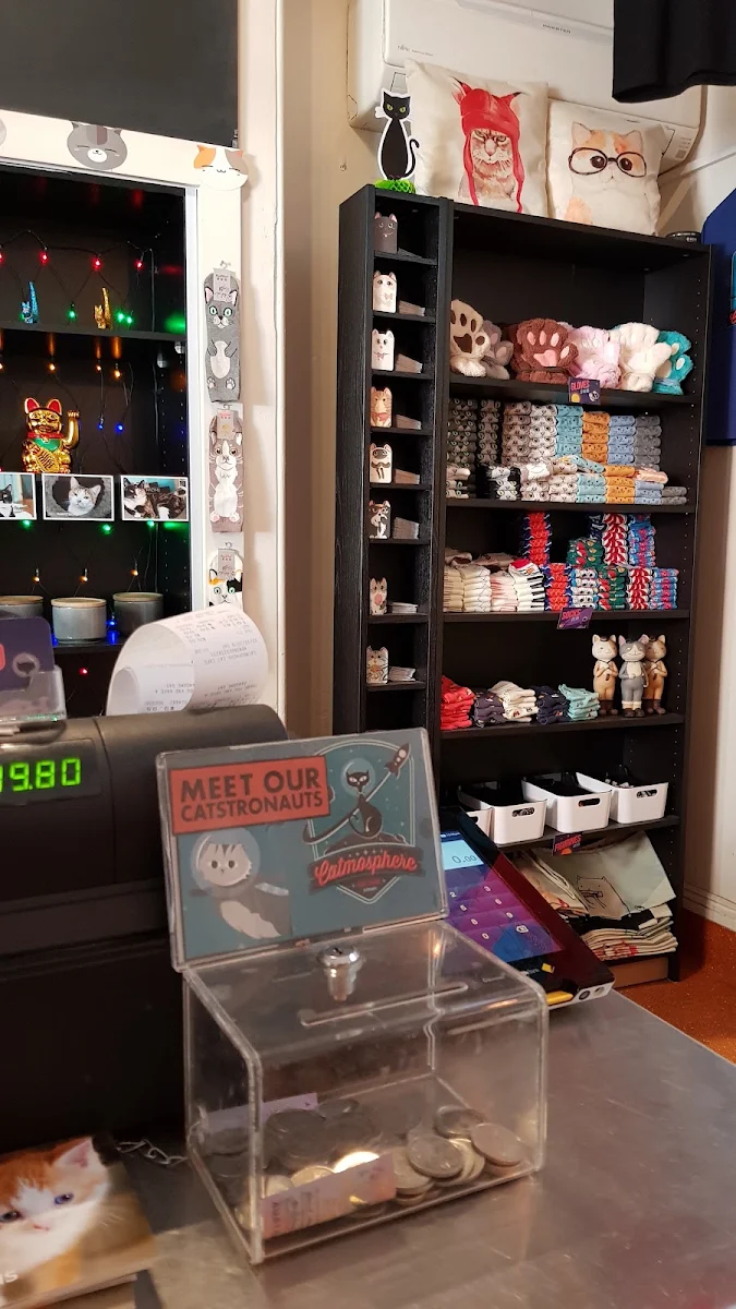 Vibe, Catmosphere Cat Cafe