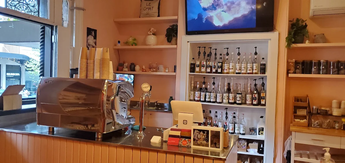Vibe, Catmosphere Cat Cafe