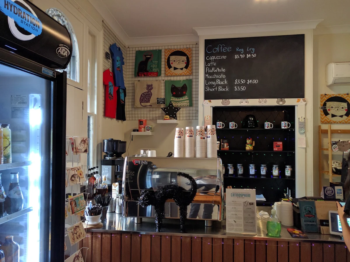 Vibe, Catmosphere Cat Cafe