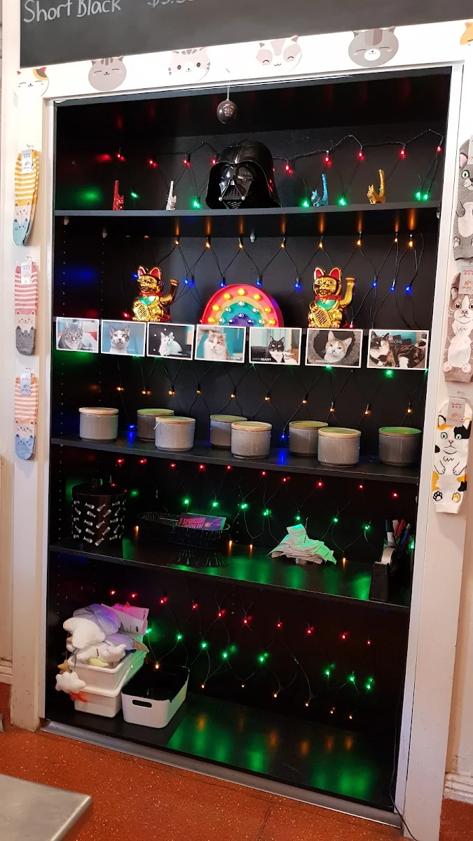 Vibe, Catmosphere Cat Cafe