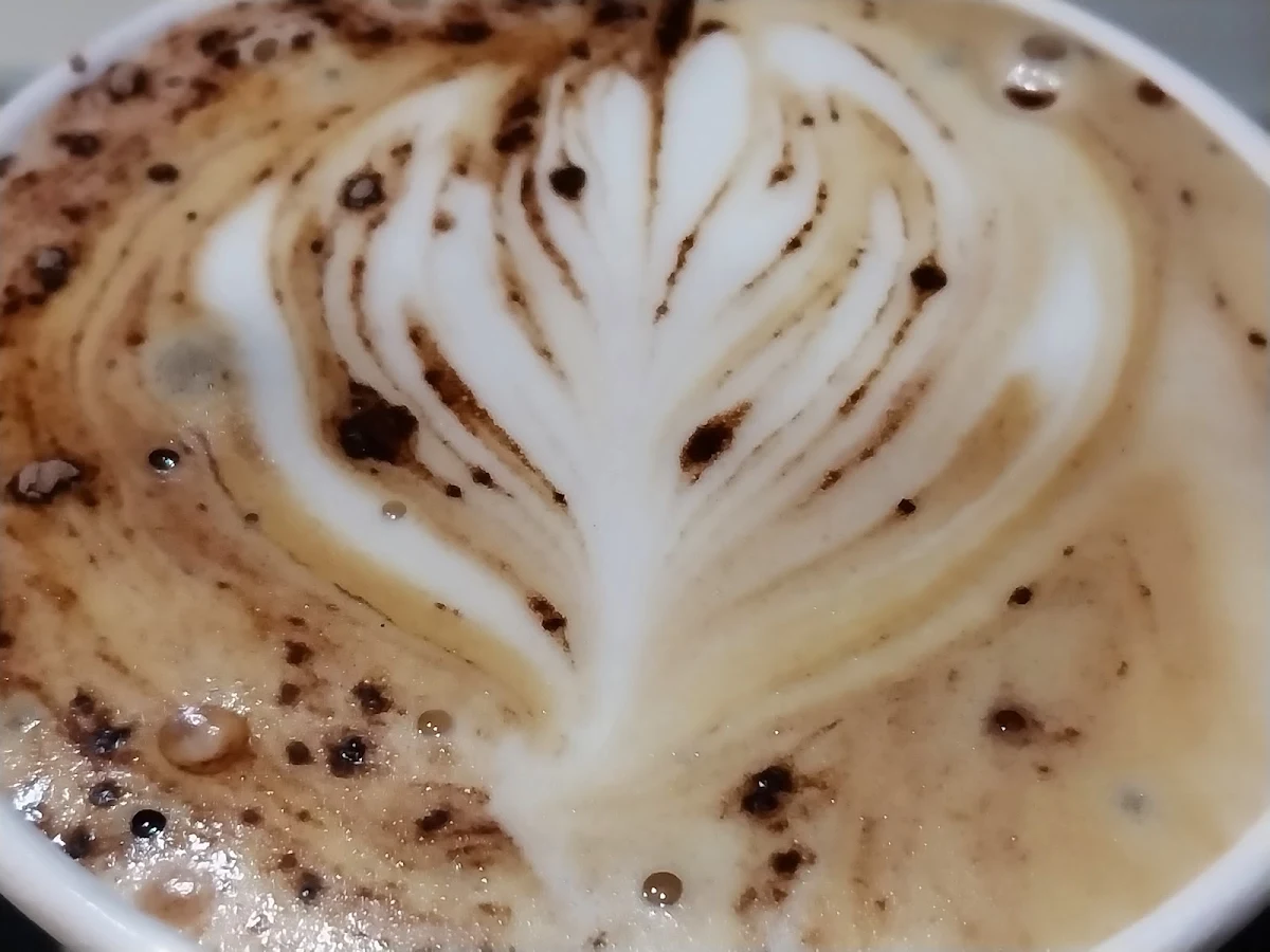 Food & drink, Coffee Brew St. Kilda Rd (Moody Brew)