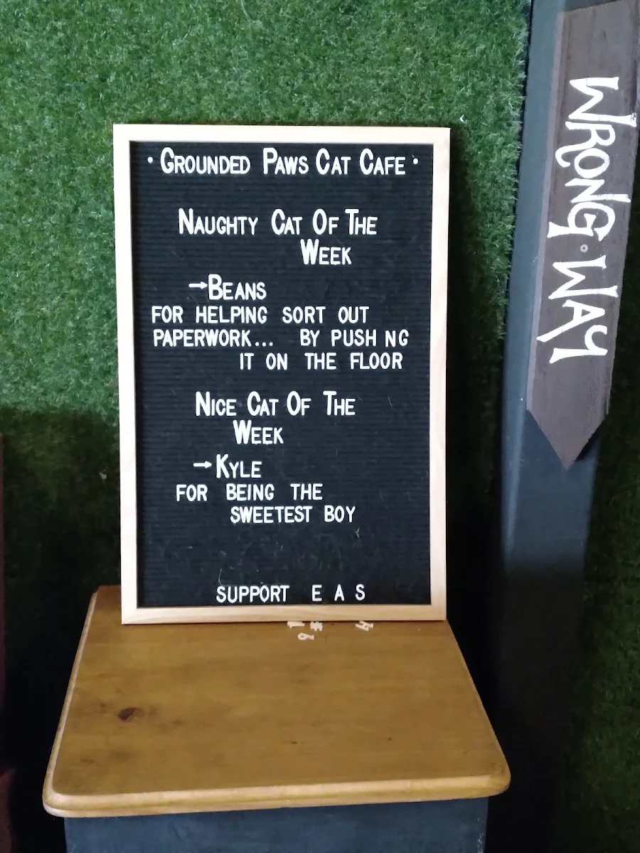 Menu, Grounded Paws Cat Cafe