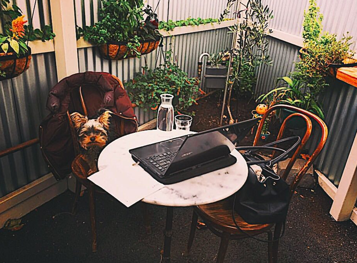 Vibe, Steam coffee co