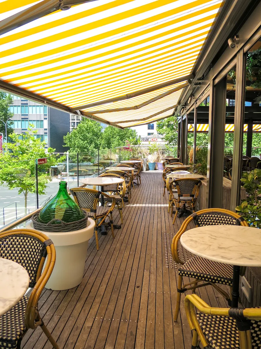 Vibe, The Treehouse Hotel