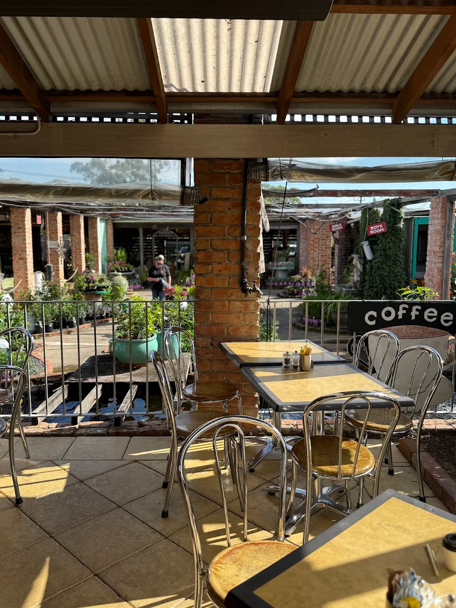 Vibe, Simply D'Vine Cafe