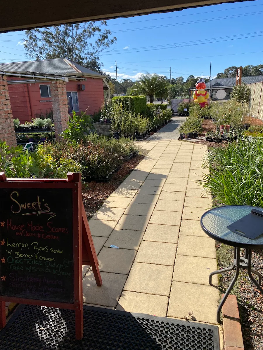 Vibe, Simply D'Vine Cafe