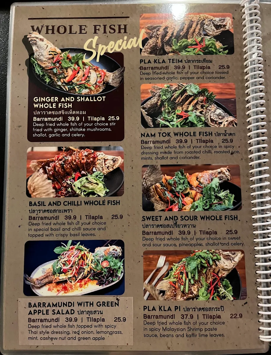 Menu, Satang Infinity