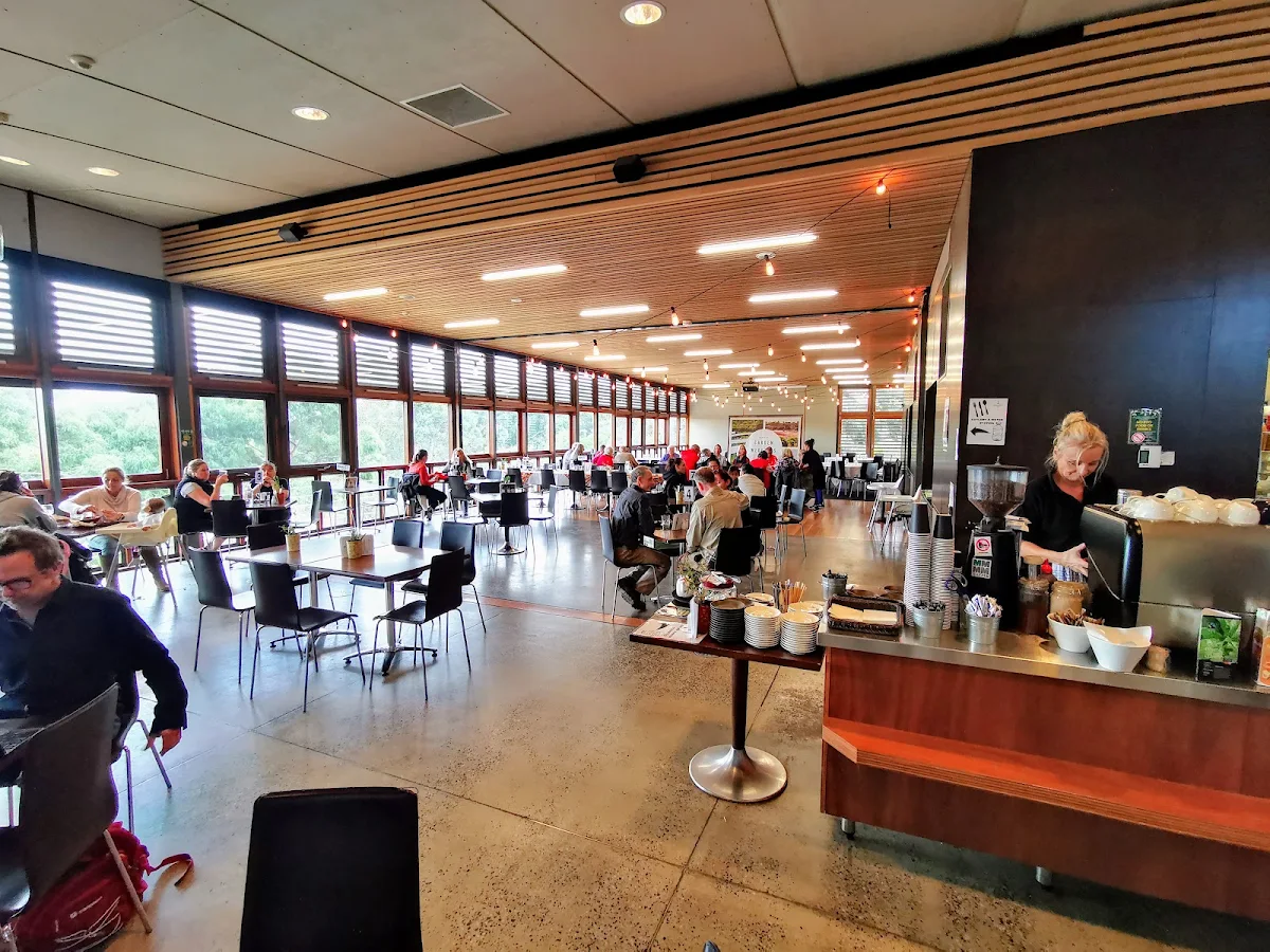 Vibe, Boon Wurrung Cafe