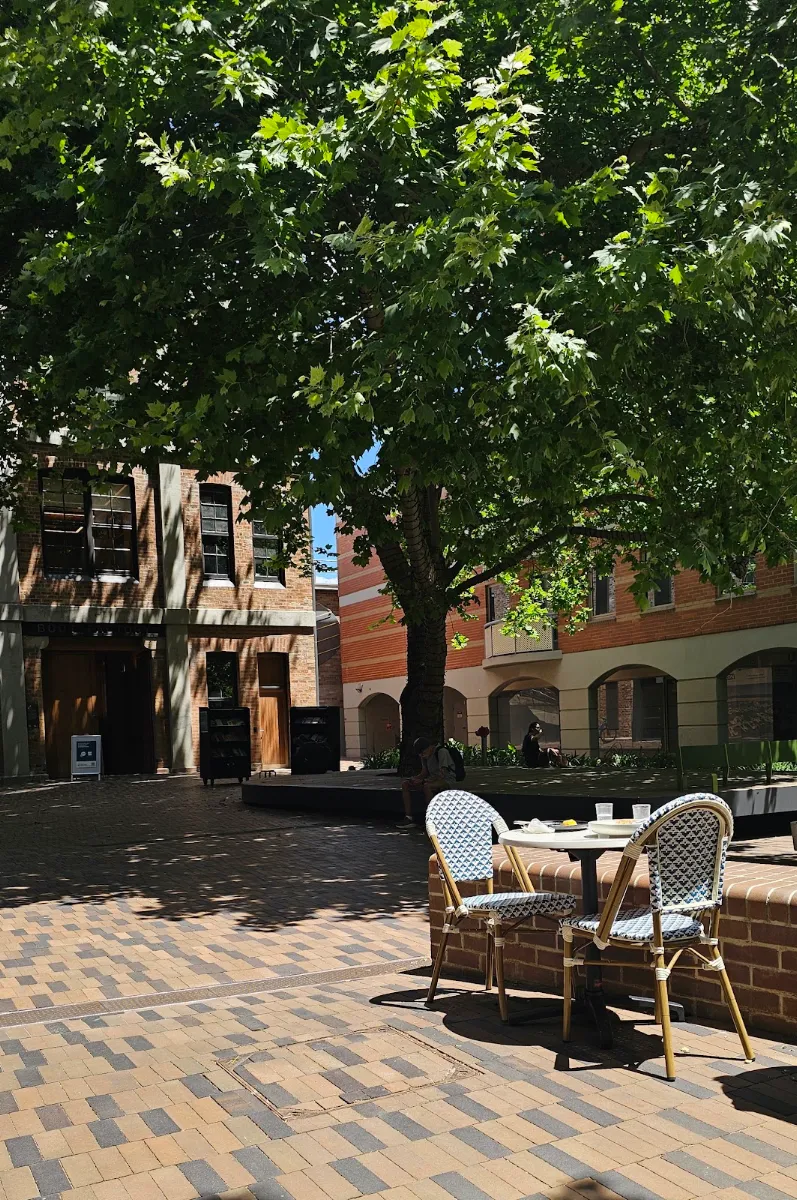 Vibe, The Dining & Co Bondi Junction