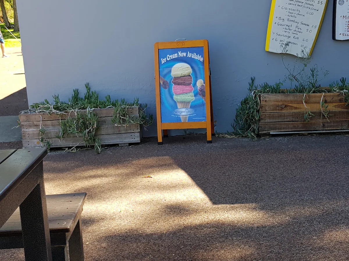 Menu, Coogee Beach Cafe