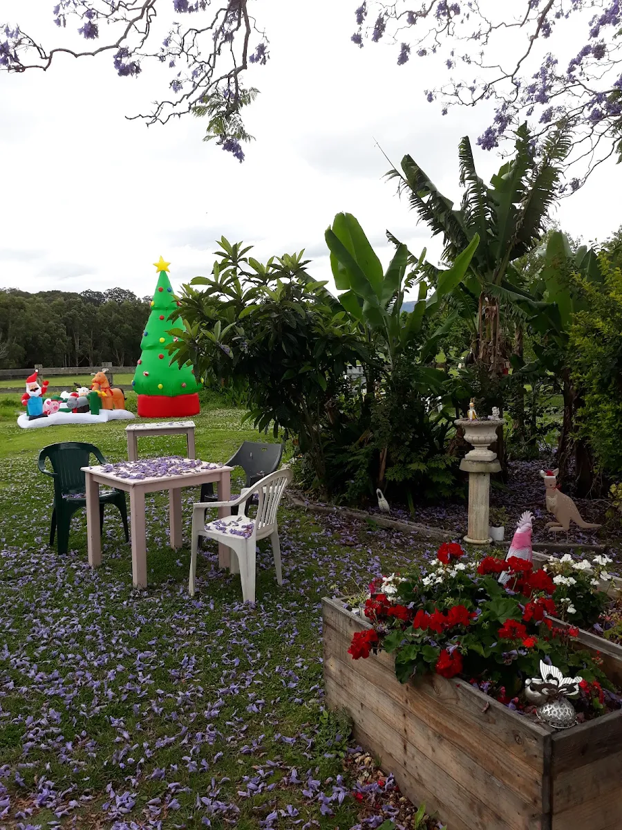 Vibe, Moorland Cottage Cafe - Best Scones On The Coast