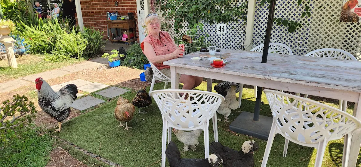 Vibe, Moorland Cottage Cafe - Best Scones On The Coast