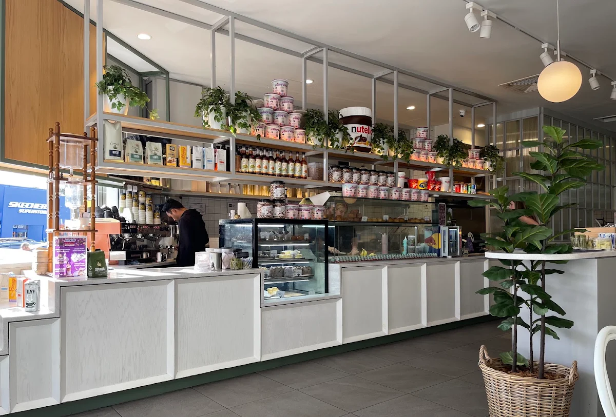 Vibe, XS Espresso Kotara