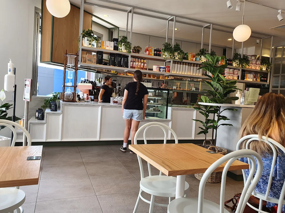 Vibe, XS Espresso Kotara