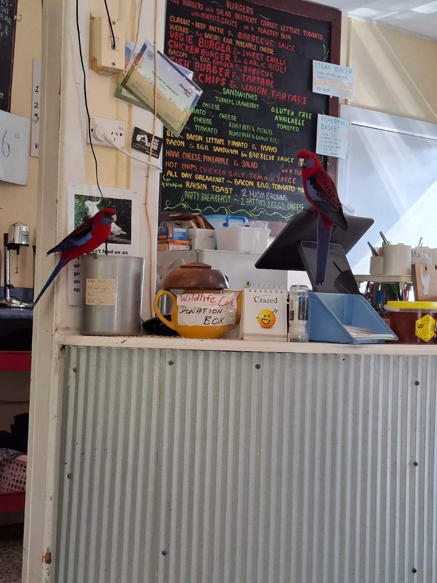 Menu, J.M. JONES tearooms